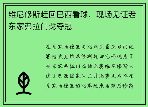 维尼修斯赶回巴西看球，现场见证老东家弗拉门戈夺冠